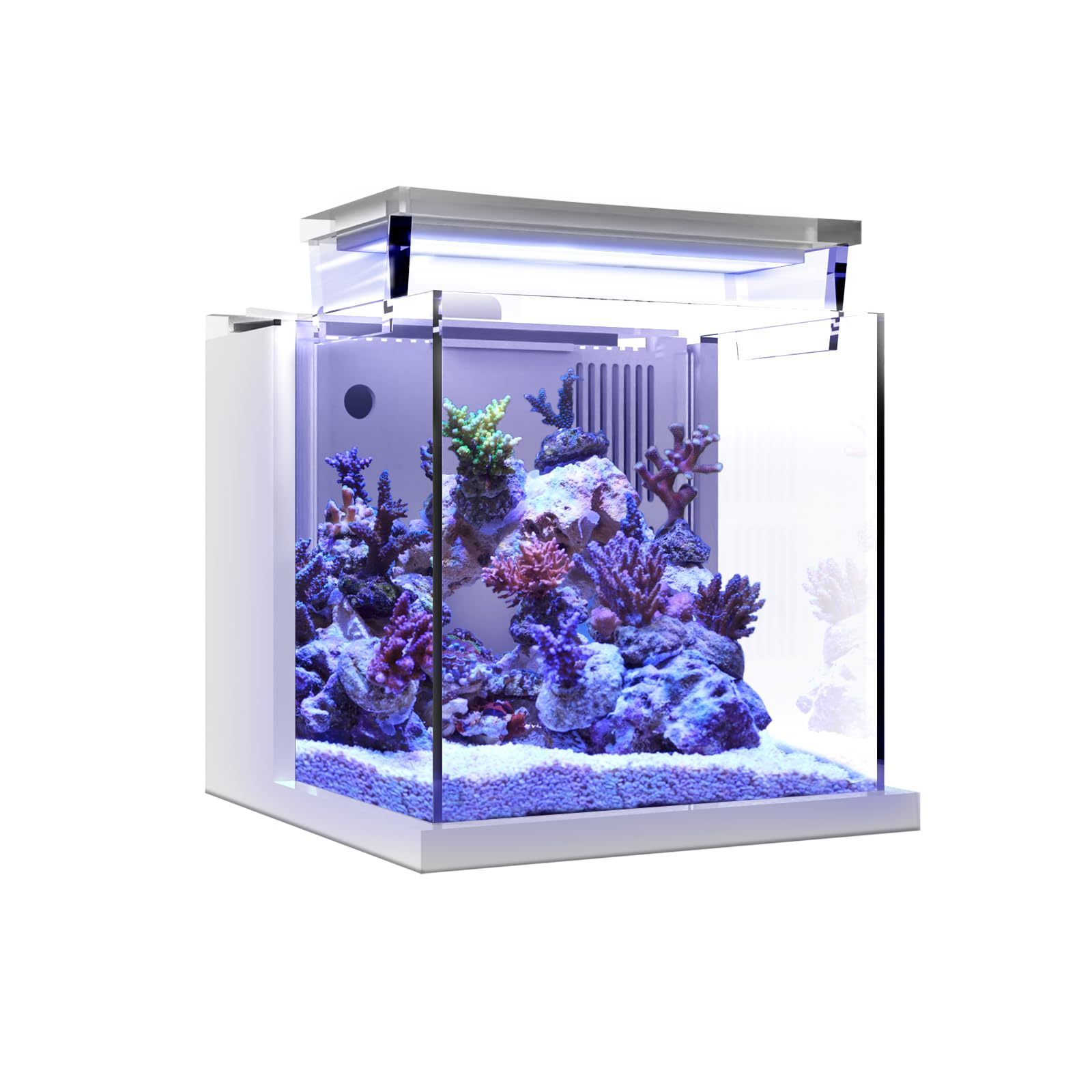 MagTool Pico All-in-One Desktop Mini Acrylic Aquarium with Built-in Su